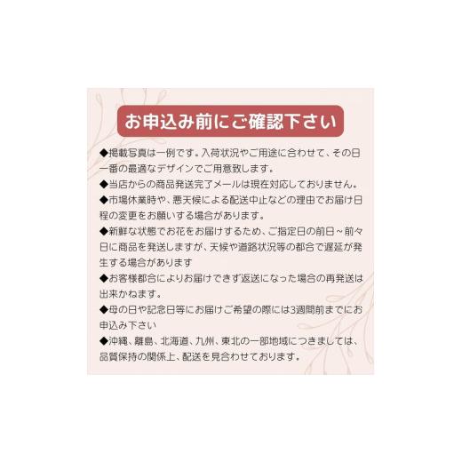 ふるさと納税 神奈川県 小田原市 《記念日に届くお花シリーズ》アレンジメント Sサイズ_ピンク系【《記念日に届くお花シリーズ》 アレンジメント 世界らん展 …｜furusatochoice｜06