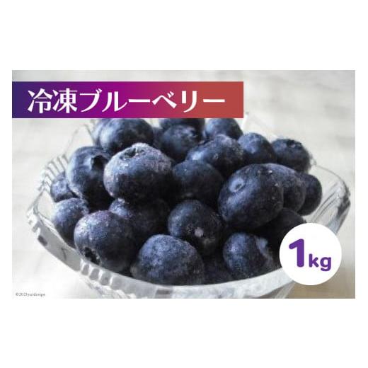 ふるさと納税 果物類 北海道 砂川市 [先行予約] 冷凍 ブルーベリー 1kg ノーザン・ベリーズ 北海道 砂川市 12260395 果物 フルーツ 国産 自家栽培