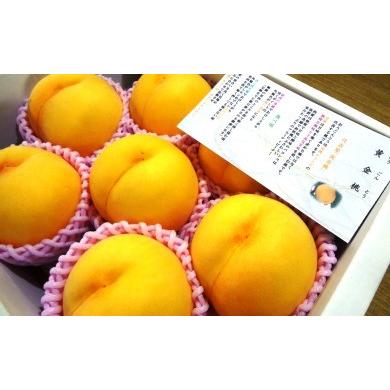 ふるさと納税 もも 山形県 天童市 08-07-007 もも(金桃・黄金桃)2.5kg