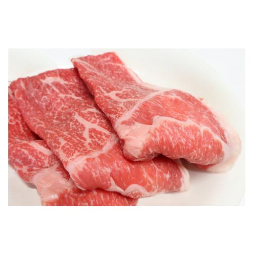 ふるさと納税 牛肉 高知県 越知町 土佐あかうし （約500g） |  | 03
