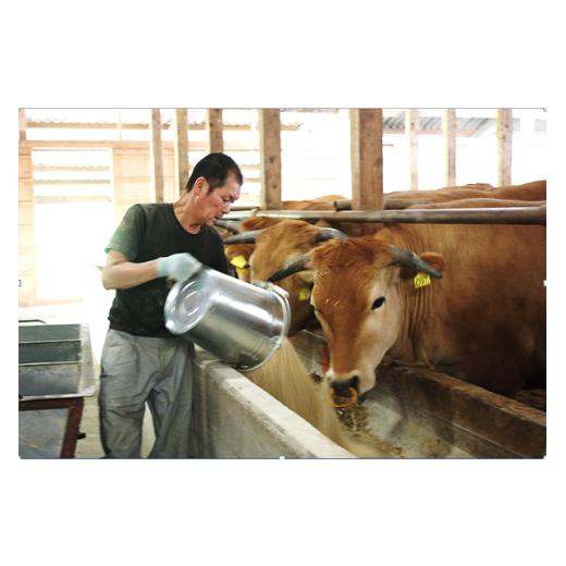 ふるさと納税 牛肉 高知県 越知町 土佐あかうし （約500g） |  | 05