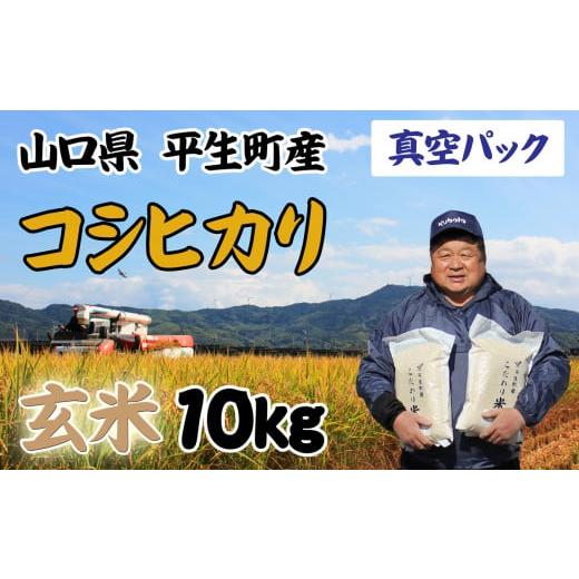 ふるさと納税 山口県 平生町 [真空パック]コシヒカリ 玄米 10kg(5kg×2袋)令和5年産 a10-1