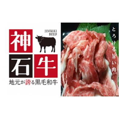ふるさと納税 牛肉 広島県 神石高原町 A-12 神石牛小間切れセット