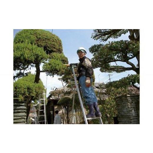 ふるさと納税 福岡県 大牟田市 【E52-01】親孝行代行サービス（５） ふるさと納税 福岡県 大牟田市 【E52-01】親孝行代行サービス（５）