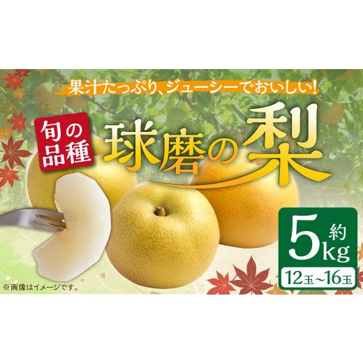 ふるさと納税 梨 熊本県 あさぎり町 発送時期:2026年8月上旬〜10月上旬 熊本県JAくま産 球磨の梨 5kg(12・14・16玉 旬な品種)