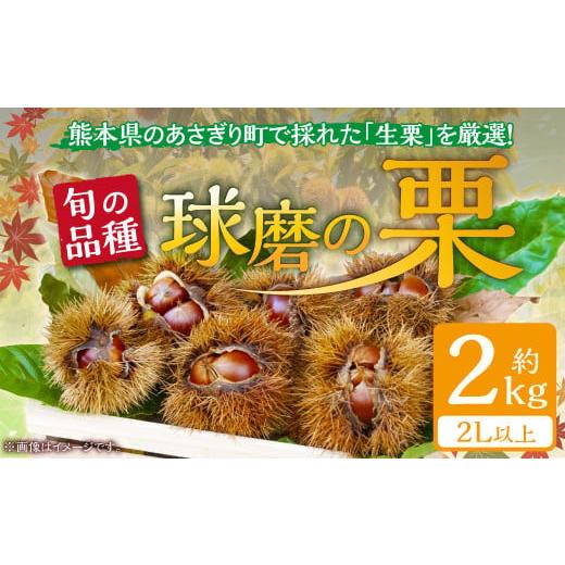 ふるさと納税 果物類 栗 熊本県 あさぎり町 発送時期:2026年9月上旬〜10月上旬 熊本県JAくま産 球磨の栗 2kg(2L以上 旬な品種)
