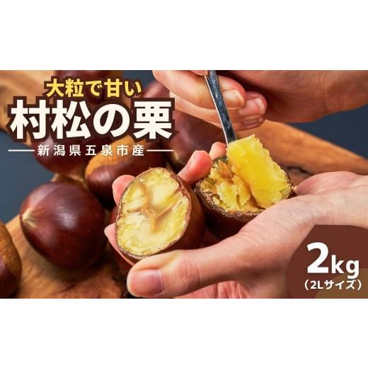 ふるさと納税 果物類 栗 新潟県 五泉市 先行予約 栗 越後村松の栗 2kg ( 2Lサイズ ) 大粒 | くり クリ お取り寄せ 産地直送 新潟県 五泉市 村松特産振興協議…