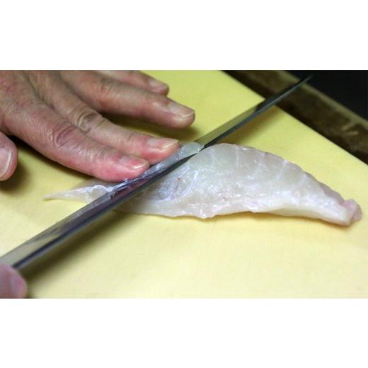 ふるさと納税 フグ 大分県 臼杵市 ミシュラン三ツ星獲得 料亭山田屋　とらふぐ刺しふぐ鍋セット（6人前）［冷蔵］_5
