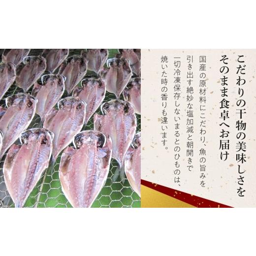ふるさと納税 干物 アジ 神奈川県 小田原市 超特ひもの満腹つめあわせ　S90 干物 干物セット 惣菜 魚 ひもの こだわりの干物 干物詰め合わせセット 満腹干物詰…_2