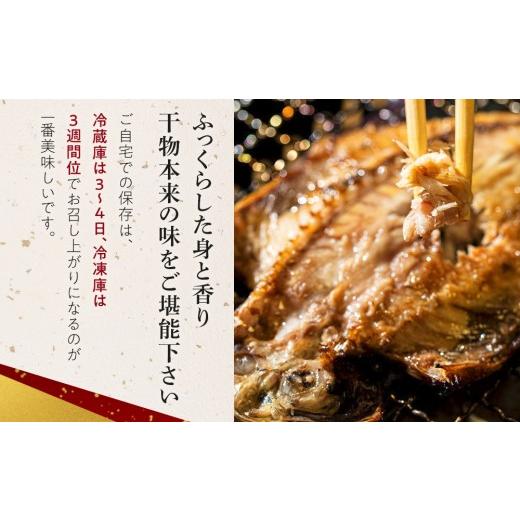 ふるさと納税 干物 アジ 神奈川県 小田原市 超特ひもの満腹つめあわせ　S90 干物 干物セット 惣菜 魚 ひもの こだわりの干物 干物詰め合わせセット 満腹干物詰…_3