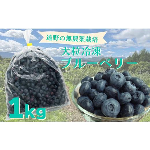 ふるさと納税 果物類 岩手県 遠野市 遠野で育った無農薬栽培の大粒冷凍ブルーベリーLサイズ・1kg 道の奥ファーム