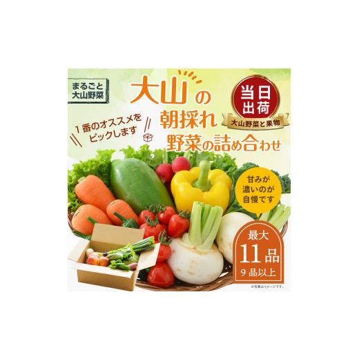 ふるさと納税 セット・詰合せ 鳥取県 大山町 MS-02　新鮮朝採れ野菜セット_1