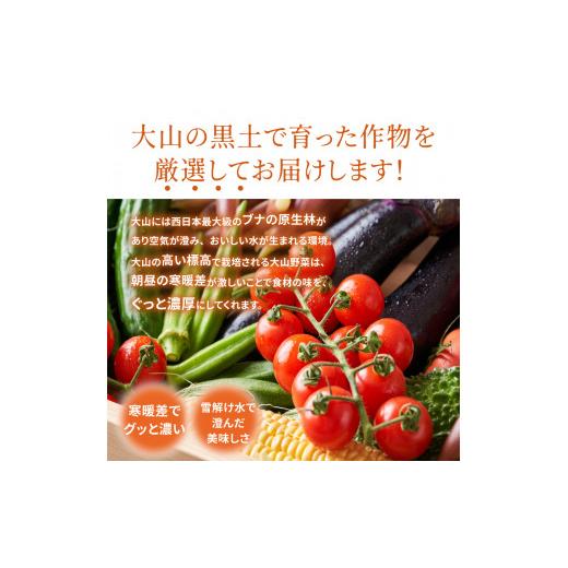 ふるさと納税 セット・詰合せ 鳥取県 大山町 MS-02　新鮮朝採れ野菜セット_3