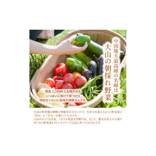 ふるさと納税 セット・詰合せ 鳥取県 大山町 MS-02　新鮮朝採れ野菜セット_4