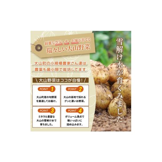 ふるさと納税 セット・詰合せ 鳥取県 大山町 MS-02　新鮮朝採れ野菜セット_5
