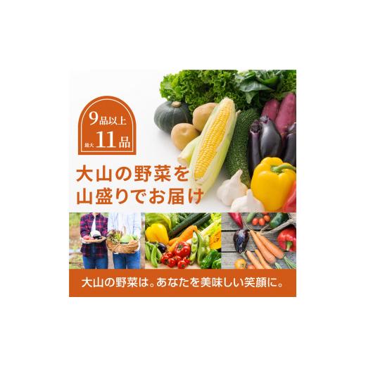ふるさと納税 セット・詰合せ 鳥取県 大山町 MS-02　新鮮朝採れ野菜セット_7