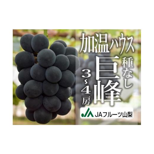 ふるさと納税 ぶどう 巨峰 山梨県 甲州市 JAフルーツ山梨 甲州市産ハウス種なし巨峰3〜4房 80 2026年発送 C-105 巨峰 ぶどう 葡萄 ブドウ 令和8年発送 期間限…