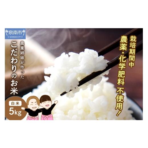 ふるさと納税 米 ヒノヒカリ 大阪府 泉南市 農業姉妹がこだわって栽培 こだわりのお米 白米5kg 024D-005