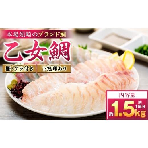 ふるさと納税 魚貝類 鯛 高知県 須崎市 真鯛 刺身 用 柵 アラ付き 1尾 セット 1.3kg〜1.5kg 本場須崎のブランド 鯛 乙女鯛 新鮮 冷蔵 刺身 お刺し身 タイ 鯛 …