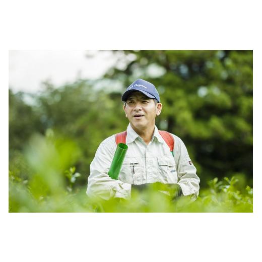ふるさと納税 お茶類 緑茶（茶葉・ティーバッグ） 静岡県 川根本町 33-3 お茶 茶葉 静岡 煎茶 ／ 初摘み２本セット_2