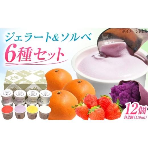 ふるさと納税 アイス・ヨーグルト ジェラート 愛媛県 内子町 ジェラート&amp;ソルベ 12個 / ジェラート じぇらーと アイス あいす ソルベ お菓子 菓子 おかし…