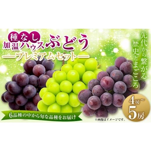 ふるさと納税 果物類 ぶどう 福岡県 うきは市 先行予約 有機配合肥料使用 種なし 加温ハウスぶどう 4〜5房 プレミアムセット 2026年7月下旬より順次発送予定 …
