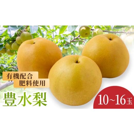 ふるさと納税 梨 福岡県 うきは市 先行予約 有機配合肥料使用 豊水梨 10〜16玉 2026年8月下旬より順次発送予定 春光園 梨 なし 果物 フルーツ 豊水 ほうすい …