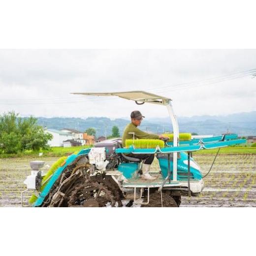 ⭐️完成品⭐️ ふるさと納税 福岡県 うきは市 P408-05 【定期便】日永園 ヒノヒカリ 白米5kg×12ヶ月 【MYK1533287932】(54000円)