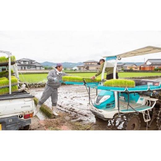 ⭐️完成品⭐️ ふるさと納税 福岡県 うきは市 P408-05 【定期便】日永園 ヒノヒカリ 白米5kg×12ヶ月 【MYK1533287932】(54000円)