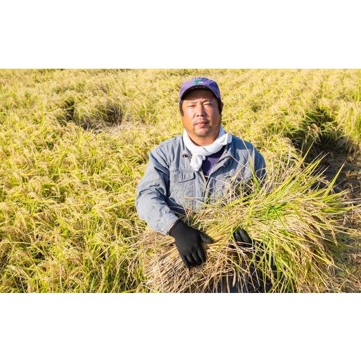 ⭐️完成品⭐️ ふるさと納税 福岡県 うきは市 P408-05 【定期便】日永園 ヒノヒカリ 白米5kg×12ヶ月 【MYK1533287932】(54000円)