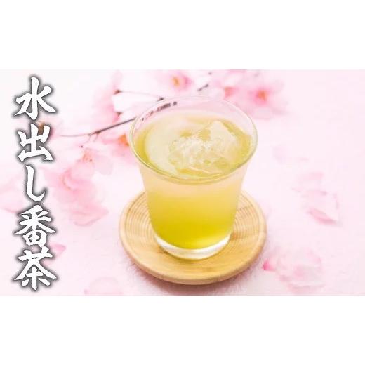 ふるさと納税 お茶類 緑茶（茶葉・ティーバッグ） 福岡県 新宮町 CE035.水出し番茶252パック（21P×12袋）の画像