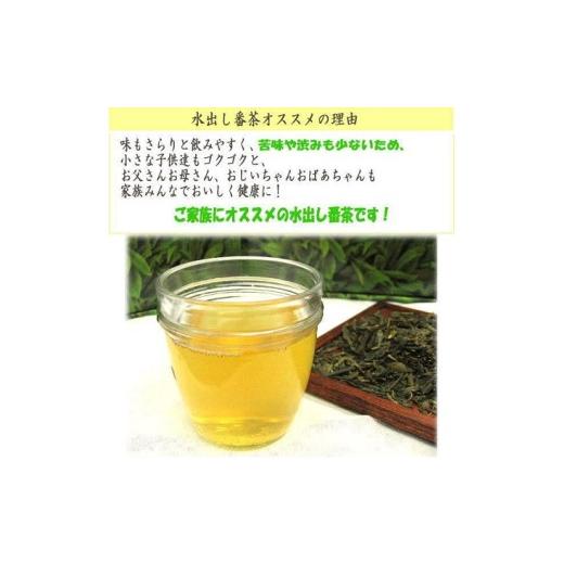 ふるさと納税 お茶類 緑茶（茶葉・ティーバッグ） 福岡県 新宮町 CE035.水出し番茶252パック（21P×12袋）の画像