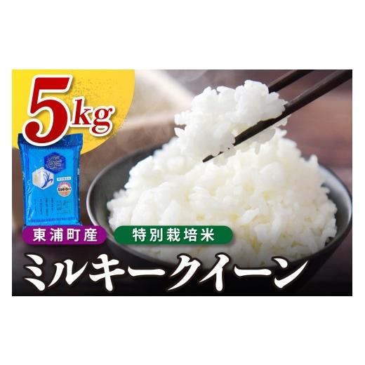 ふるさと納税 米 ミルキークイーン 愛知県 東浦町 東浦町産 ミルキークイーン 5kg|米 新米 おこめ コメ 精米 ミルキークイーン ミルキークィーン 直送 鈴木…