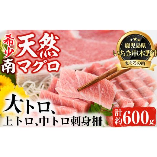 ふるさと納税 鹿児島県 いちき串木野市 E-073H 希少!天然南まぐろ極みセット 大トロ〜中トロ 約600g