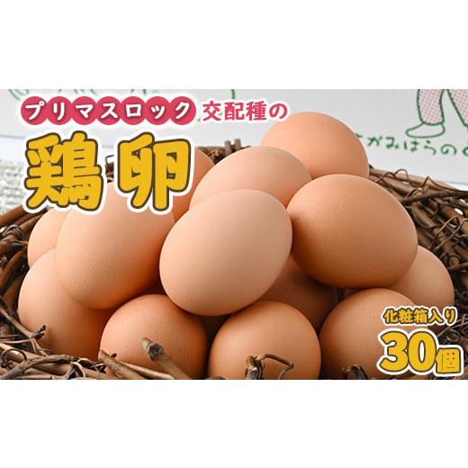 ふるさと納税 神奈川県 相模原市 [相模原のブランド卵]鶏卵 プリマスロックの卵 化粧箱入り30個
