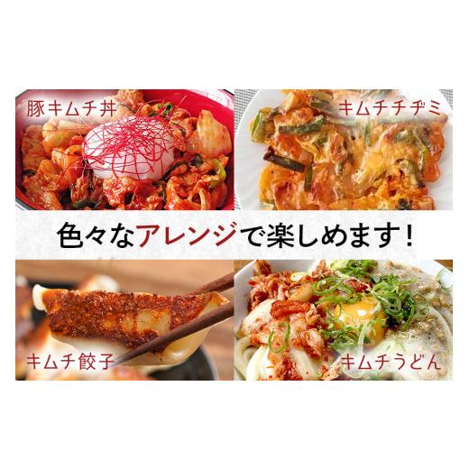 ふるさと納税 加工品等 キムチ 茨城県 常陸大宮市 本場韓国の無添加キムチ・チャンジャ詰め合わせセット 塩辛 白菜キムチ からし味噌 韓国のり 唐辛子 キムチ …_8