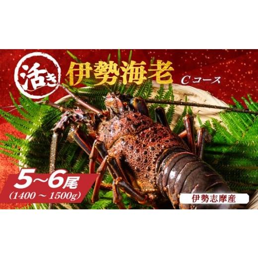 ふるさと納税 エビ 伊勢エビ 三重県 南伊勢町 活き 伊勢海老 Cコース 5〜6尾(約1400〜1500g) 山金商店 地物 伊勢 伊勢えび 高級 鮮魚 焼き物 汁物 海鮮 特産…
