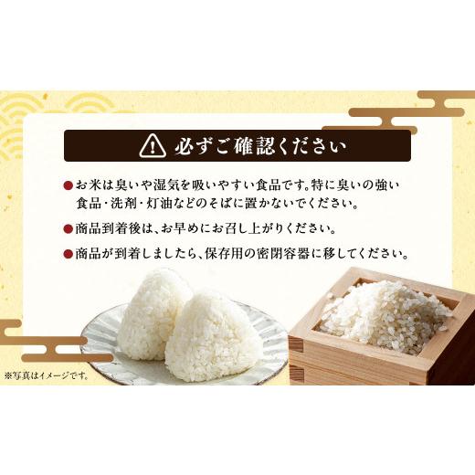 ふるさと納税 米 北海道 浦臼町 〈令和7年産〉浦臼産 ななつぼし 精白米 10kg （5kg×2袋） ななつぼし 精米 米 おこめ お米 ブランド米 白米 白ご飯 ごはん …_3