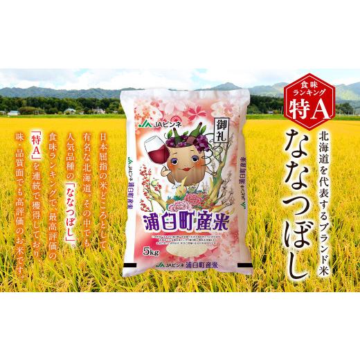 ふるさと納税 米 北海道 浦臼町 〈令和7年産〉浦臼産 ななつぼし 精白米 10kg （5kg×2袋） ななつぼし 精米 米 おこめ お米 ブランド米 白米 白ご飯 ごはん …_4