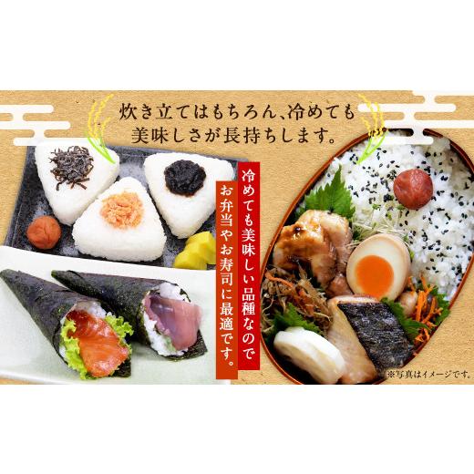 ふるさと納税 米 北海道 浦臼町 〈令和7年産〉浦臼産 ななつぼし 精白米 10kg （5kg×2袋） ななつぼし 精米 米 おこめ お米 ブランド米 白米 白ご飯 ごはん …_6