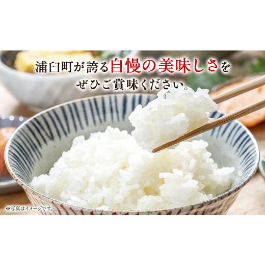 ふるさと納税 米 北海道 浦臼町 〈令和7年産〉浦臼産 ななつぼし 精白米 10kg （5kg×2袋） ななつぼし 精米 米 おこめ お米 ブランド米 白米 白ご飯 ごはん …_7