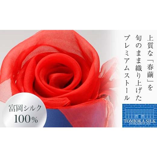 ふるさと納税 小物 ストール・マフラー 群馬県 富岡市 TOMIOKA SILK オーガンジーストール 草木染 朱赤 富岡シルク ストール 贈り物 ギフト F21E-375 朱赤