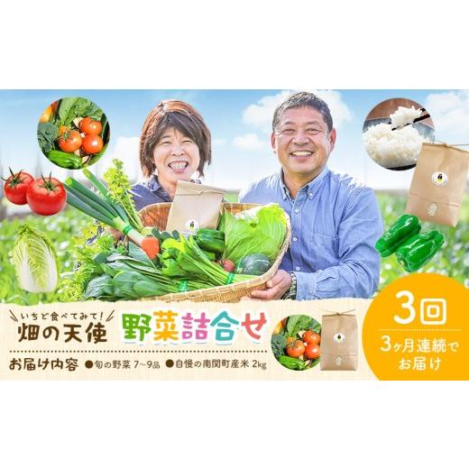 ふるさと納税 米 ヒノヒカリ 熊本県 南関町 3ヶ月定期便 野菜 詰合せ 7〜9品 米 2kg 3回[お申込み翌月から出荷] 畑の天使 いちど食べてみて「畑の天使」野…