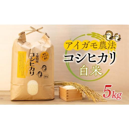 ふるさと納税 千葉県 長生村 A01-001 アイガモ農法によるお米(白米5kg)