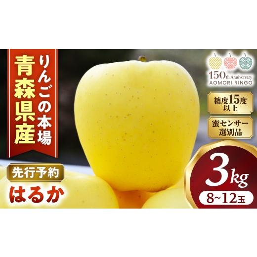 ふるさと納税 りんご 青森県 三戸町 蜜センサー選別品 高級りんご はるか 約3kg(8〜12玉) 2026年産・先行予約 2026年12月上旬〜2027年1月上旬頃まで発送予…