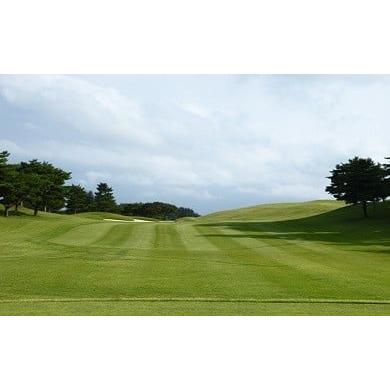 ふるさと納税 栃木県 那須烏山市 100-4 烏山城カントリークラブ ゴルフ平日1ラウンドセルフプレー券