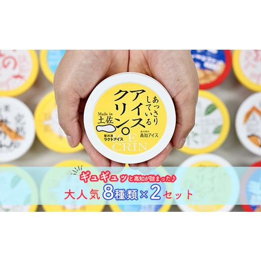 ふるさと納税 高知県 いの町 高知アイスのアイスクリーム 8種類×2