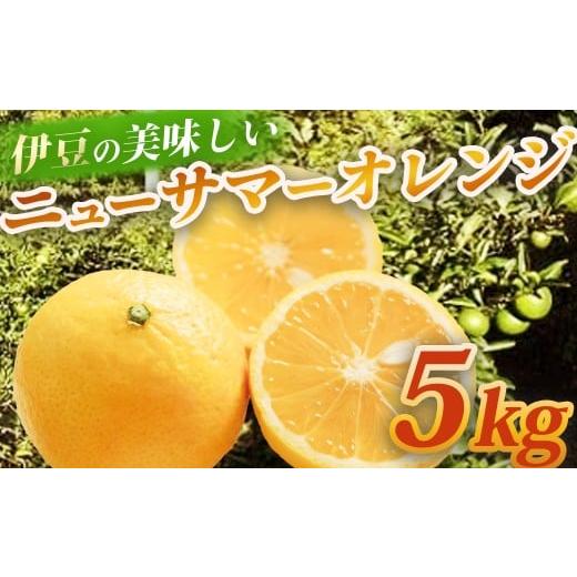ふるさと納税 みかん・柑橘類 静岡県 伊豆市 (先行予約・限定30セット・4月〜5月発送)ニューサマーオレンジ(5kg) 静岡県 伊豆市 果物 柑橘類 010-012