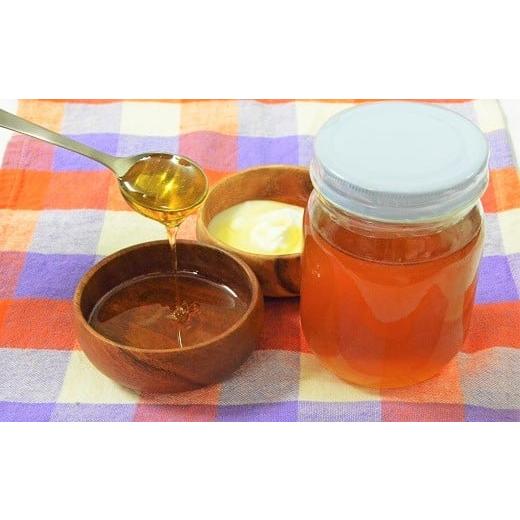 ふるさと納税 加工品等 はちみつ 高知県 越知町 越知町産 はちみつ(百花蜜)日本ミツバチ