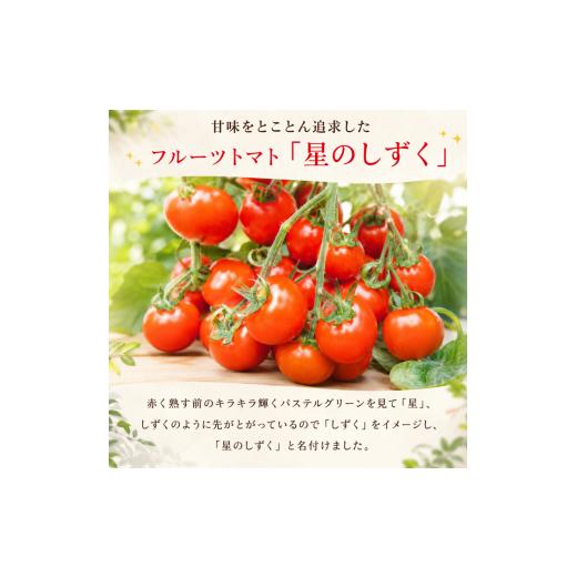 ふるさと納税 野菜類 トマト 徳島県 - 700g フルーツトマト 《 糖度 8